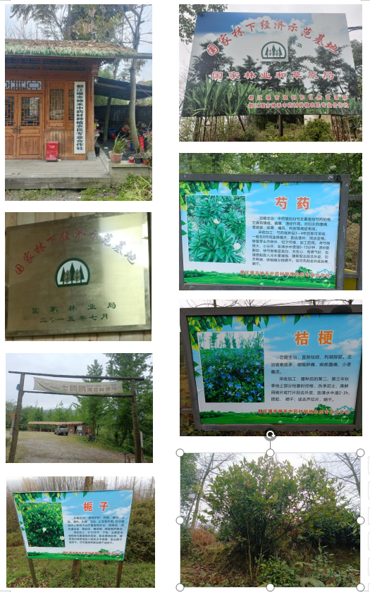 1745845452417641.png 圖片_5.png
